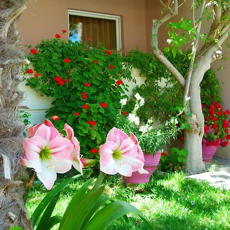Sun Rise Hotel Apartments Эретрия Экстерьер фото