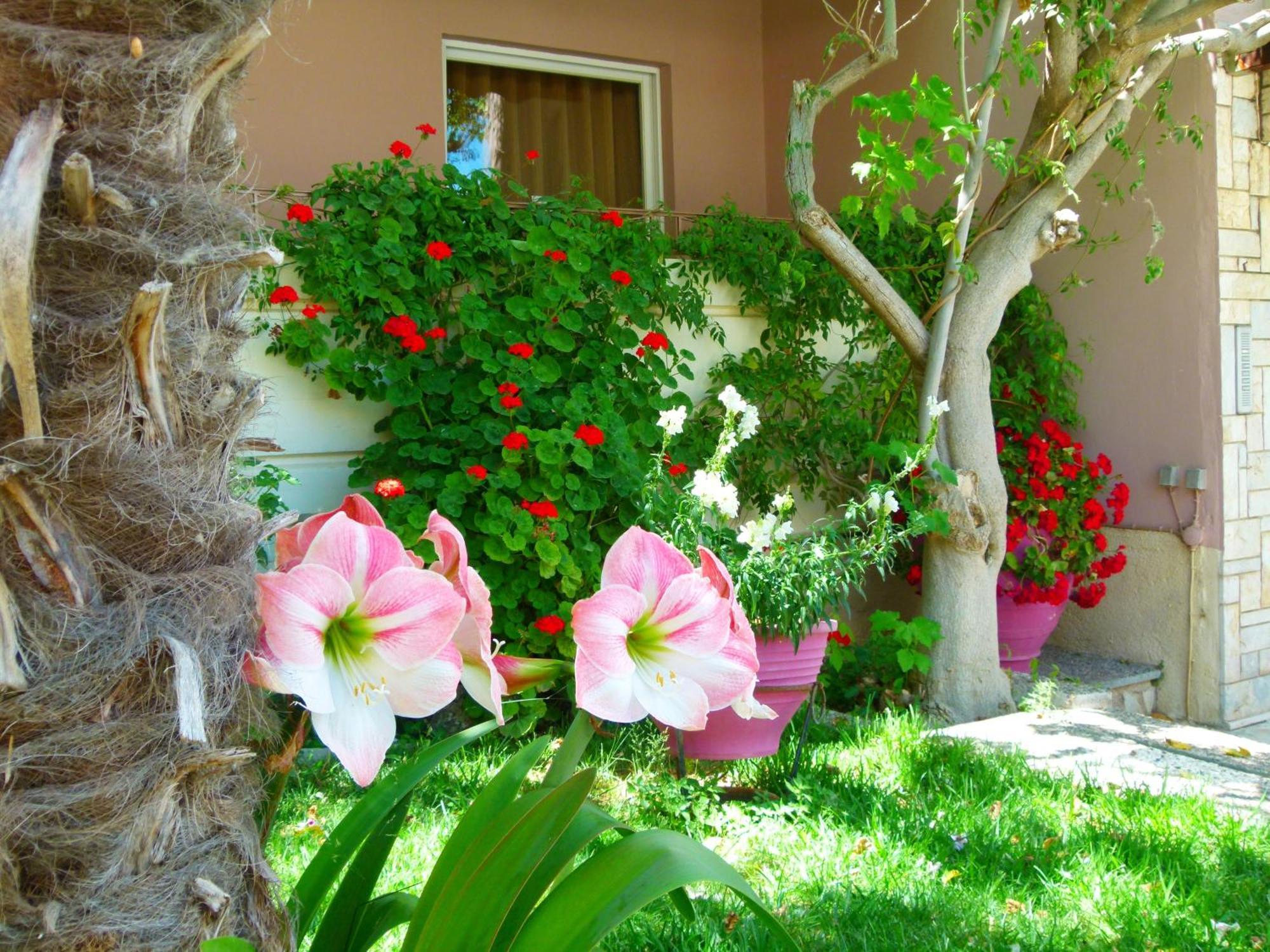Sun Rise Hotel Apartments Эретрия Экстерьер фото